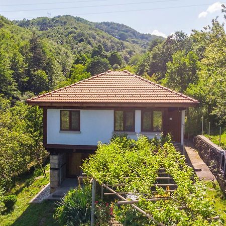 Holiday Home Lyubovo Gabrovo Buitenkant foto