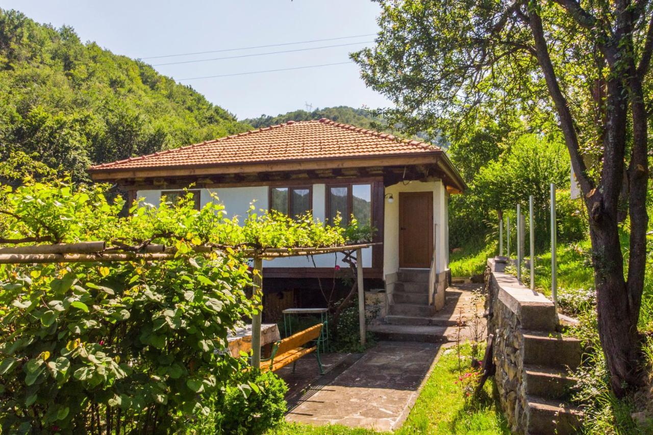 Holiday Home Lyubovo Gabrovo Buitenkant foto