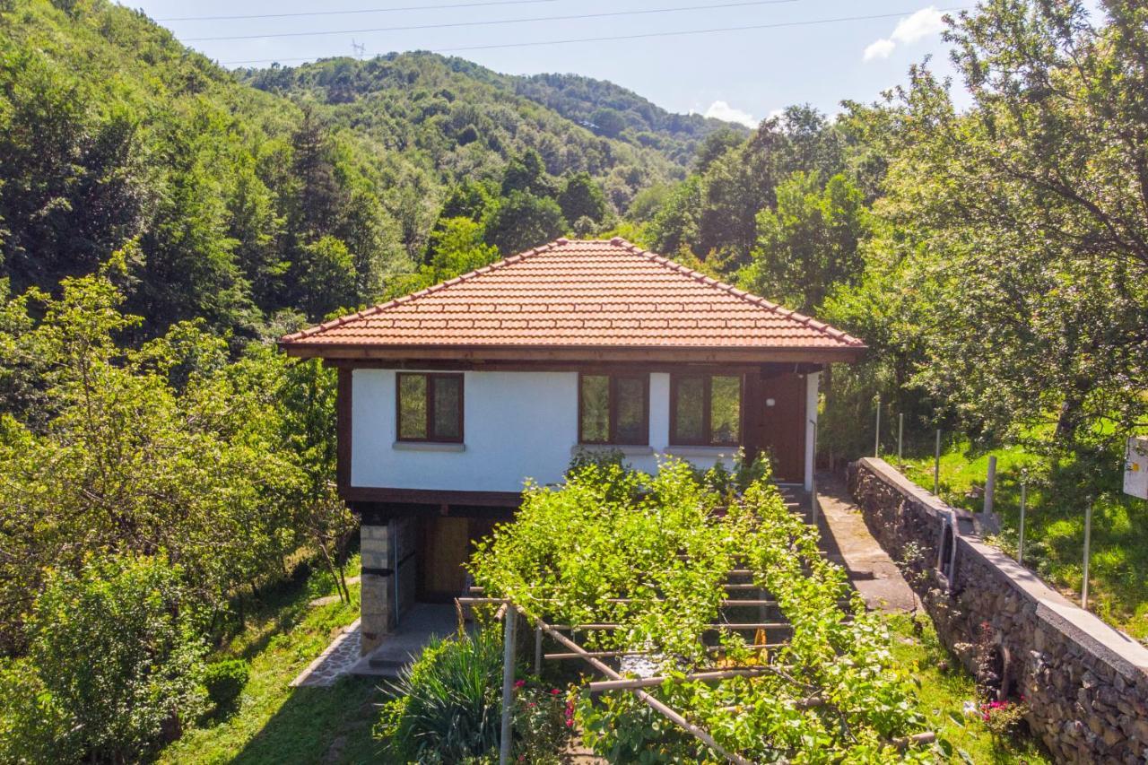 Holiday Home Lyubovo Gabrovo Buitenkant foto