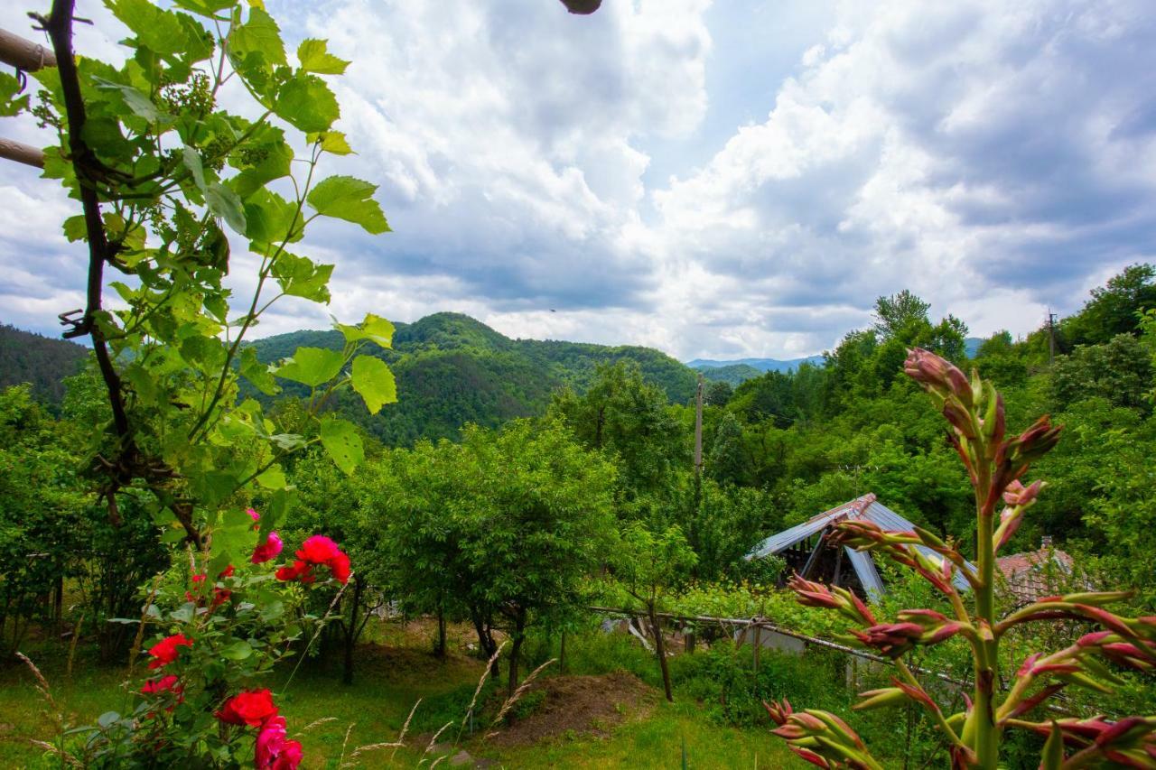 Holiday Home Lyubovo Gabrovo Buitenkant foto